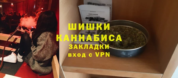 стафф Каменка