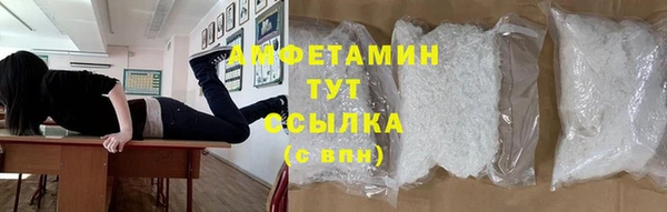 стафф Каменка