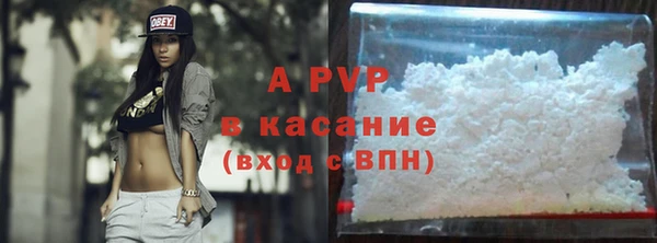 стафф Каменка