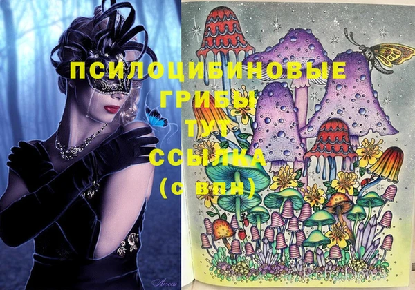 гашиш Каменногорск