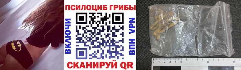 Купить закладки  Дегтярск  Псилоцибиновые грибы MAGIC MUSHROOMS 